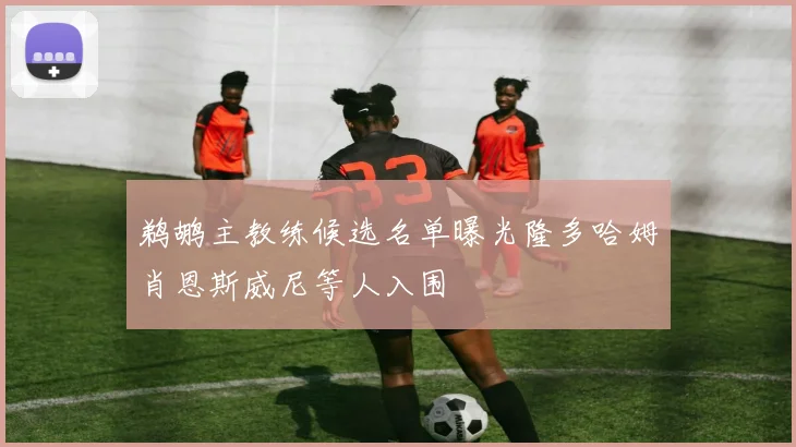 鹈鹕主教练候选名单曝光隆多哈姆肖恩斯威尼等人入围
